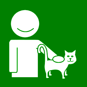 pet a cat